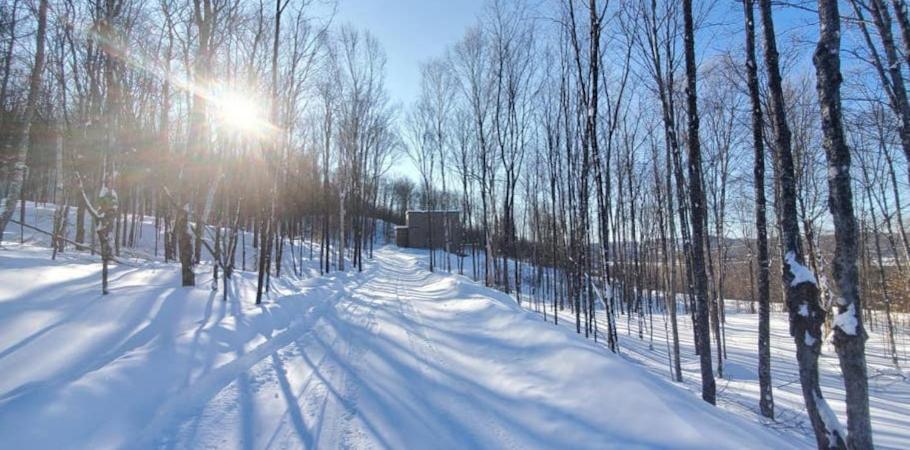 Villa Chalet Serenity - Mont Tremblant Ski - Spa Sauna Wifi Tv Privet Chic Modern House La Conception Exterior foto